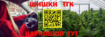 скорость Камышлов