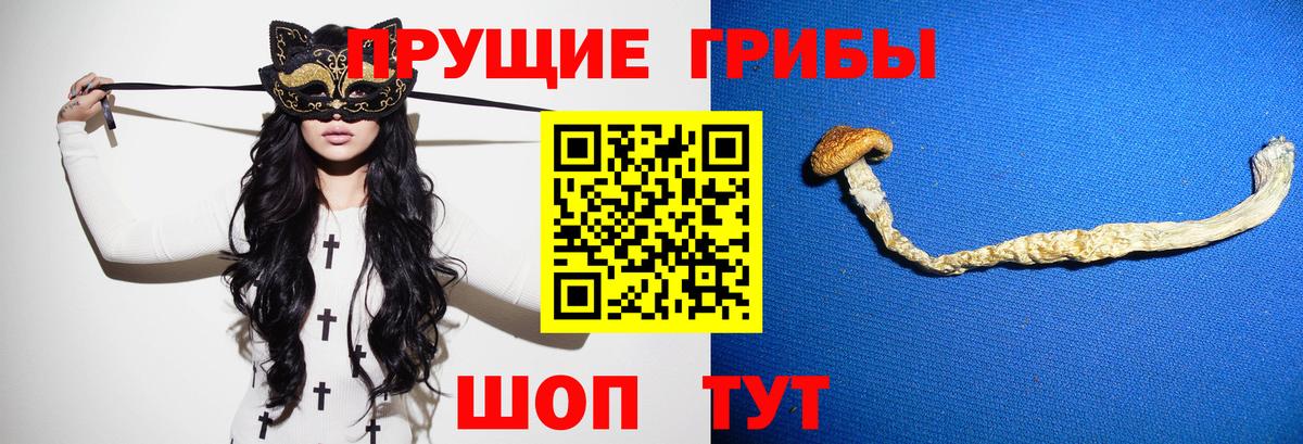 Псилоцибиновые грибы Psilocybe  Вход с VPN  Магнитогорск 